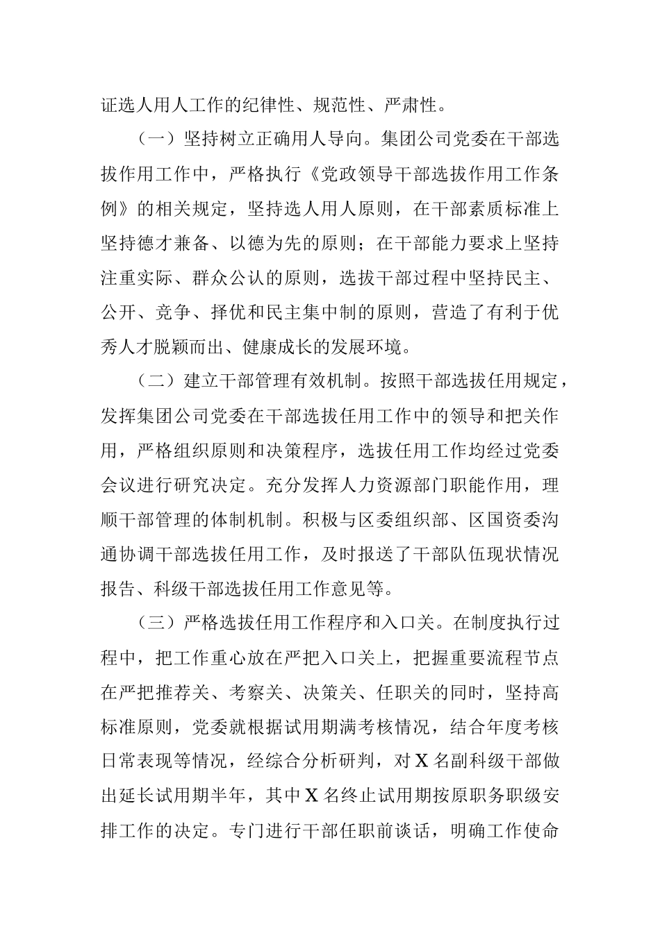 选人用人专项报告.docx_第2页