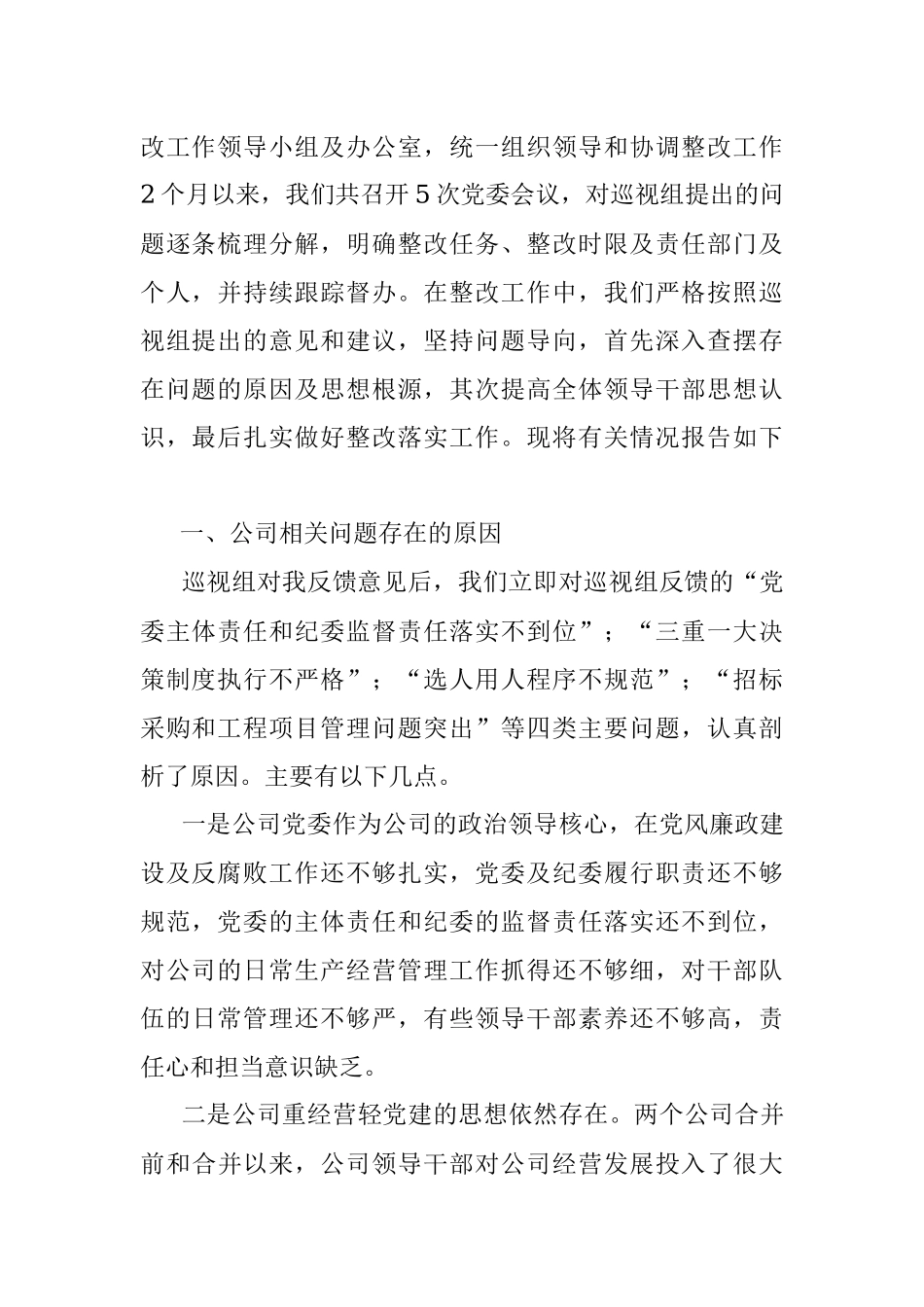 集团公司专项巡视整改对照材料.docx_第2页