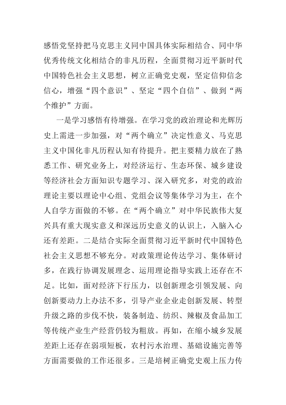 县政府县长2021年度专题民主生活会对照检查材料（五个带头）.docx_第2页