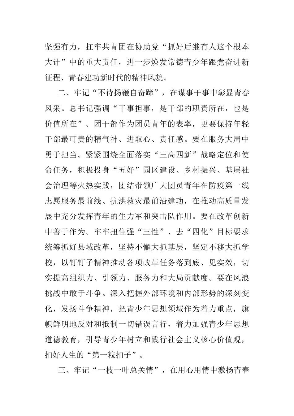 团委书记在年轻干部座谈会上的发言提纲.docx_第2页