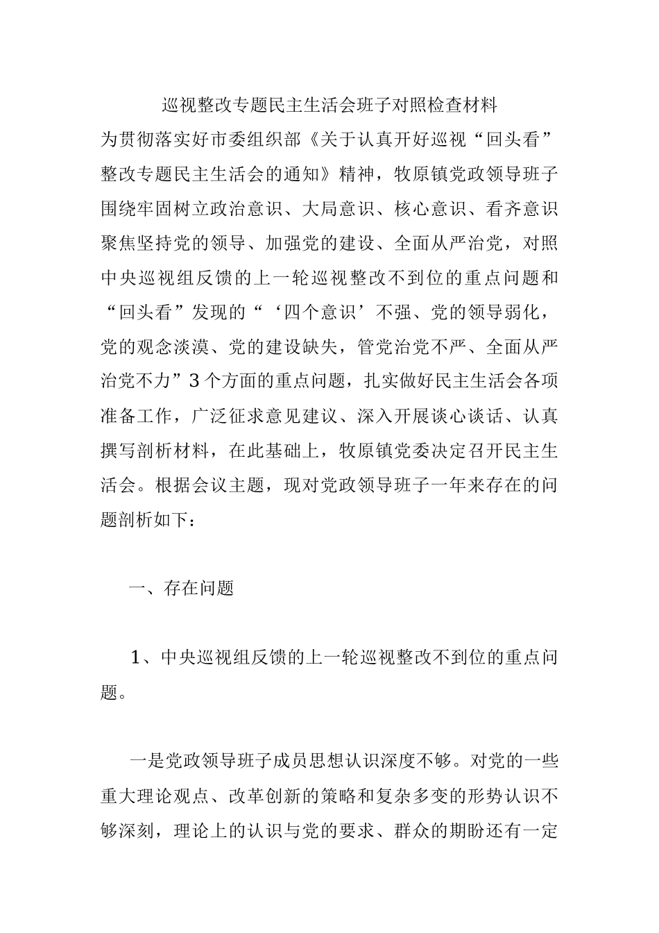 巡视整改专题民主生活会班子对照检查材料.docx_第1页