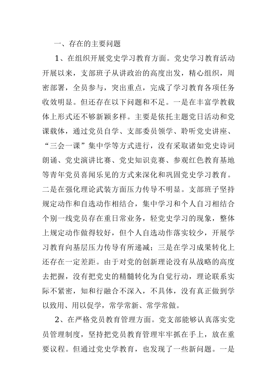 政法机关党支部班子党史学习教育专题组织生活会“五个方面”对照检查材料.docx_第2页