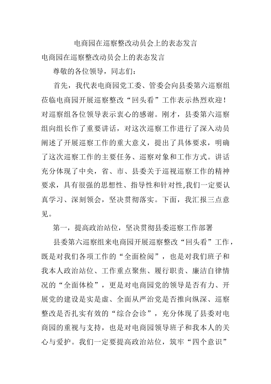 电商园在巡察整改动员会上的表态发言.docx_第1页