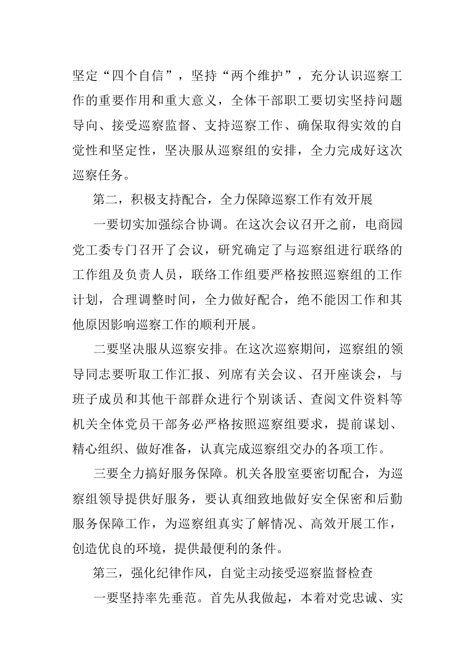 电商园在巡察整改动员会上的表态发言.docx_第2页