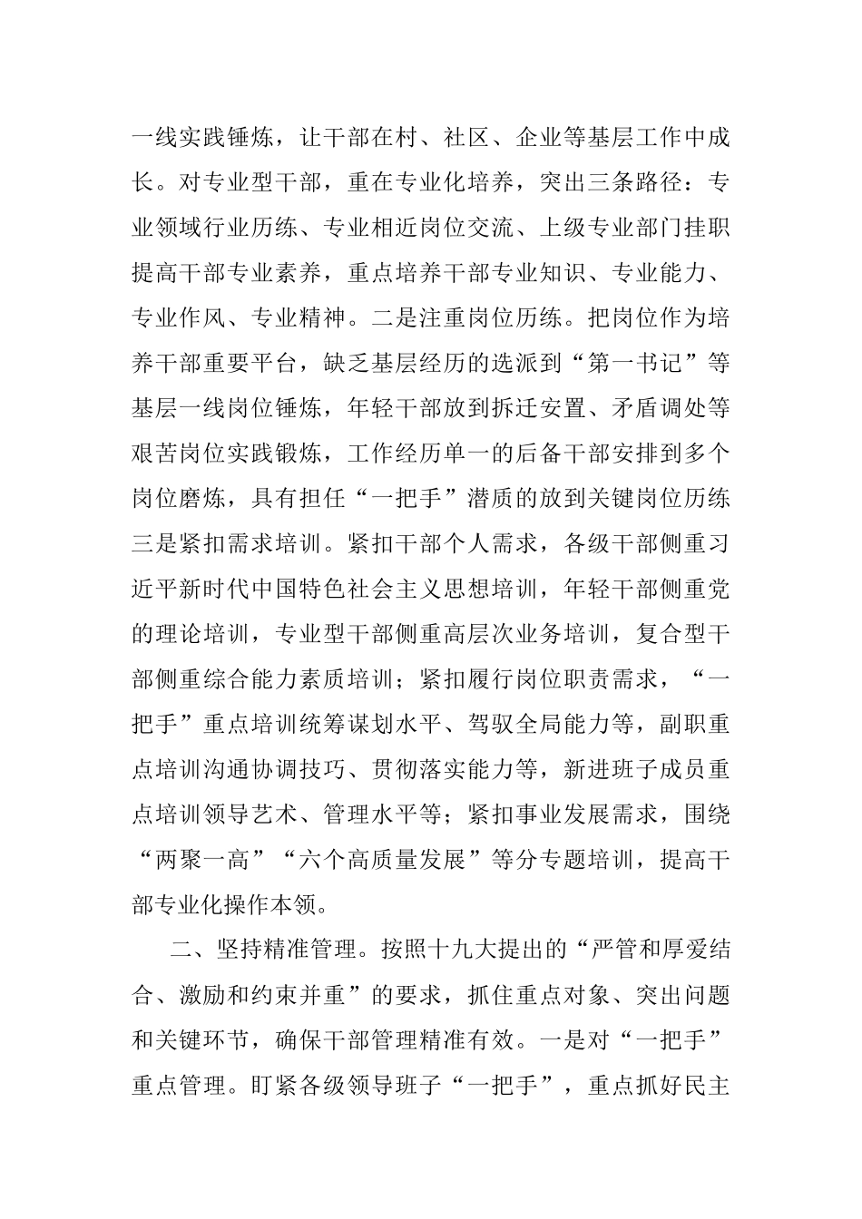 研讨发言：用精准理念建设高素质专业化干部队伍.docx_第2页