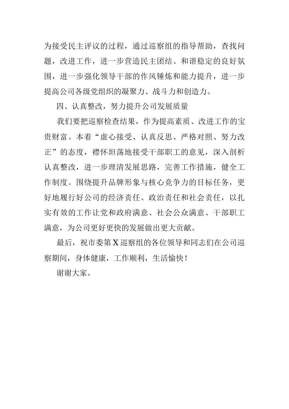 国企巡察动员发言材料.docx_第3页