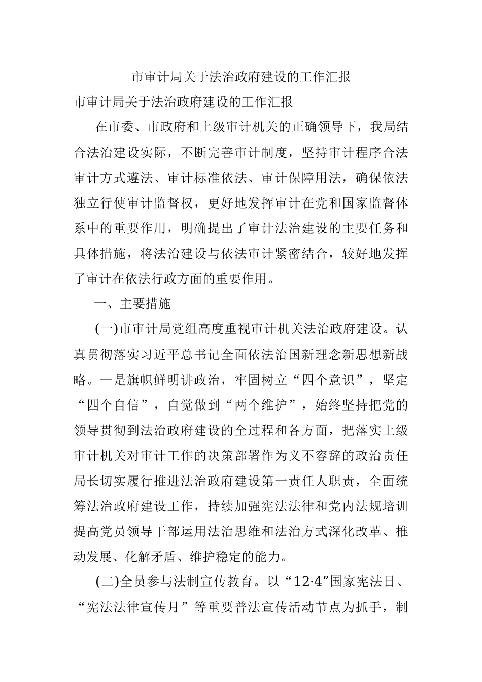 市审计局关于法治政府建设的工作汇报.docx_第1页