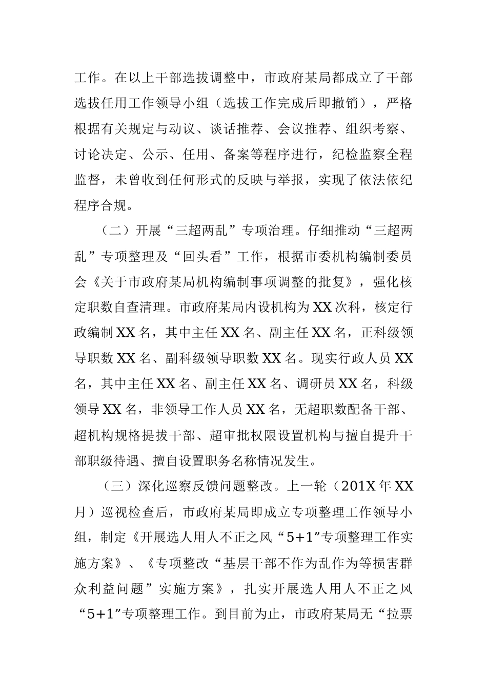 X局关于选人用人巡视检查及领导干部担当作为情况自查汇报.docx_第2页