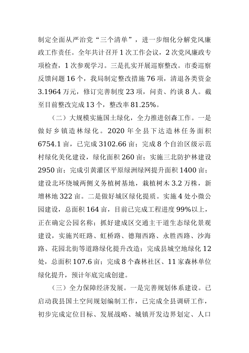 XX县自然资源局2020年度工作总结暨2021年工作计划.docx_第2页