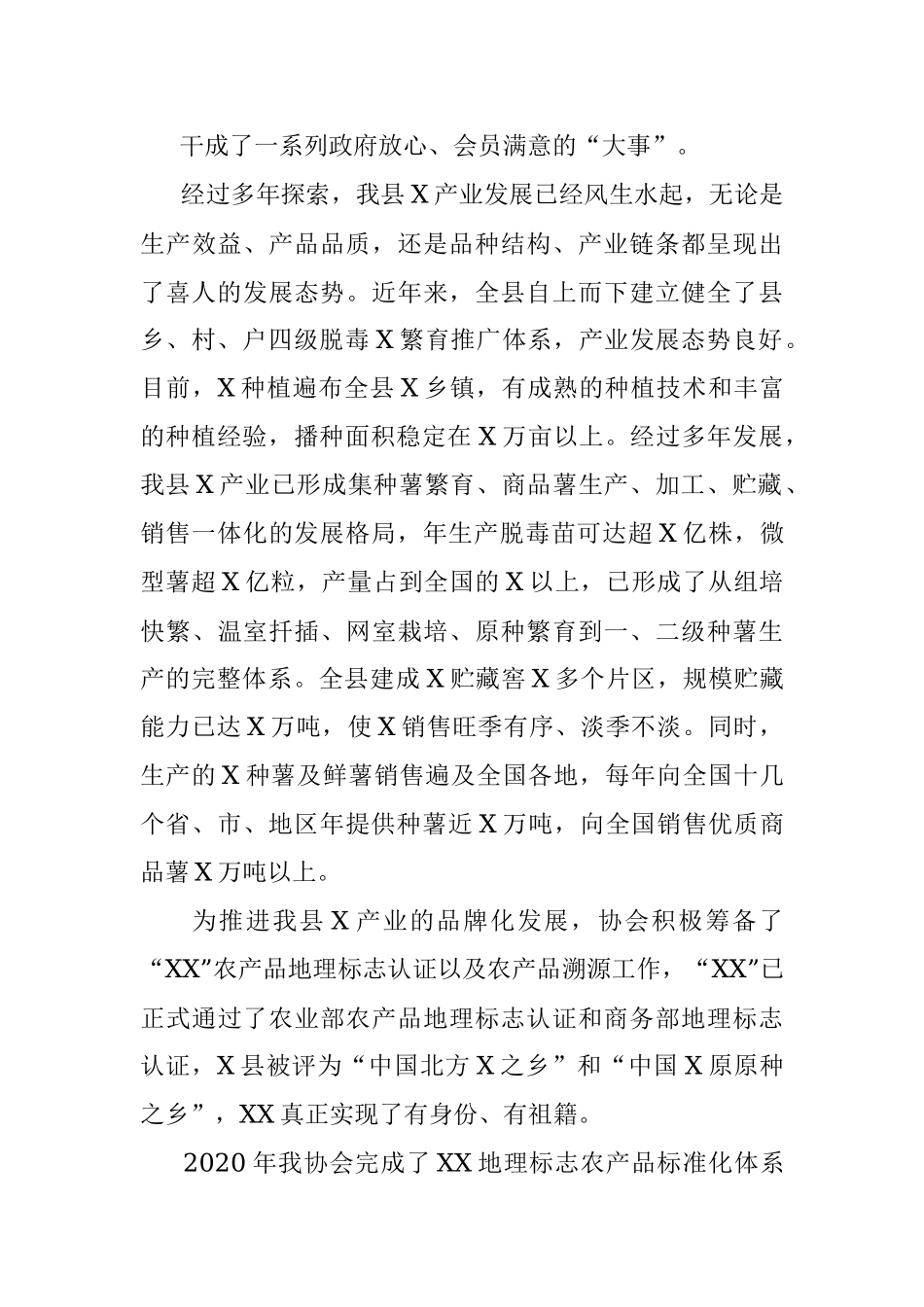 产业协会工作总结.docx_第3页