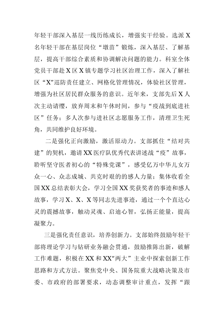 党支部干部工作总结.docx_第3页