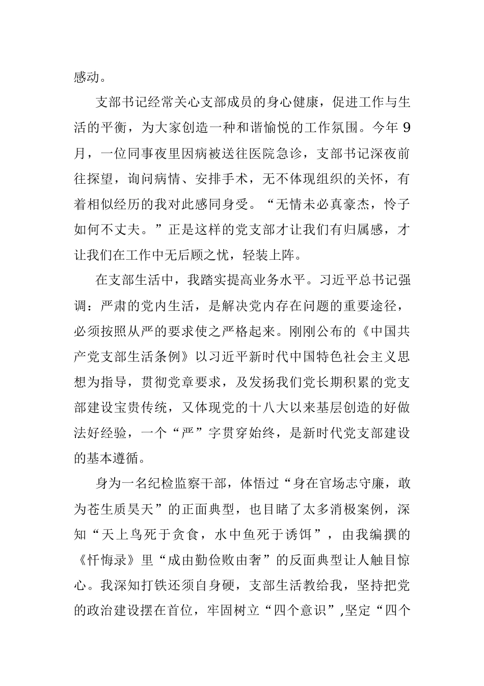 在党支部总结会上的发言材料.docx_第3页