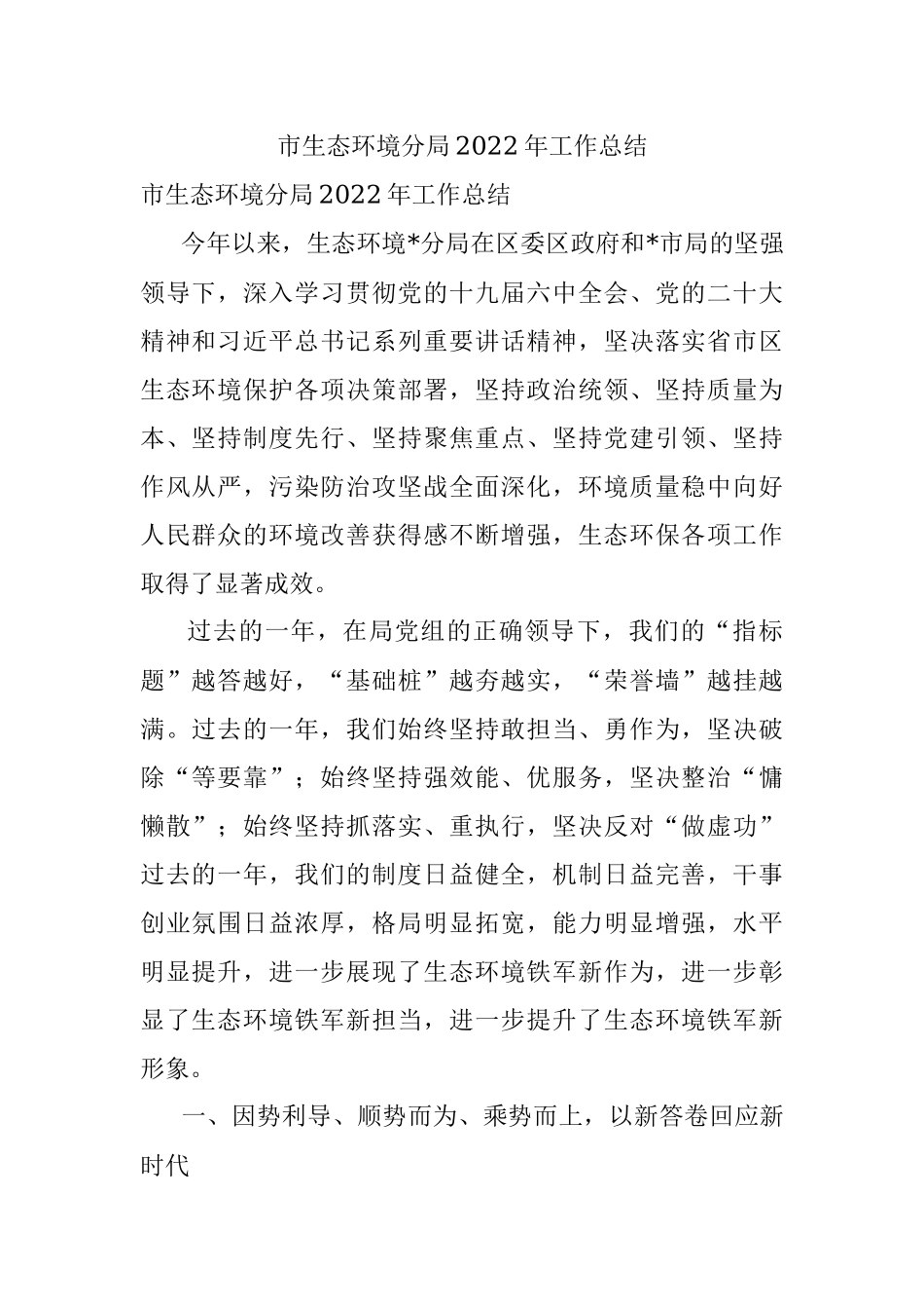 市生态环境分局2022年工作总结.docx_第1页