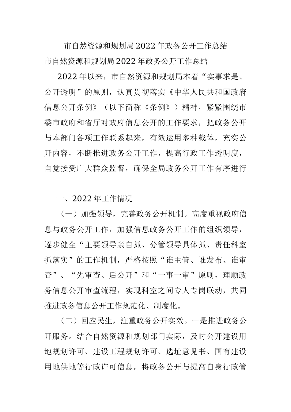 市自然资源和规划局2022年政务公开工作总结.docx_第1页