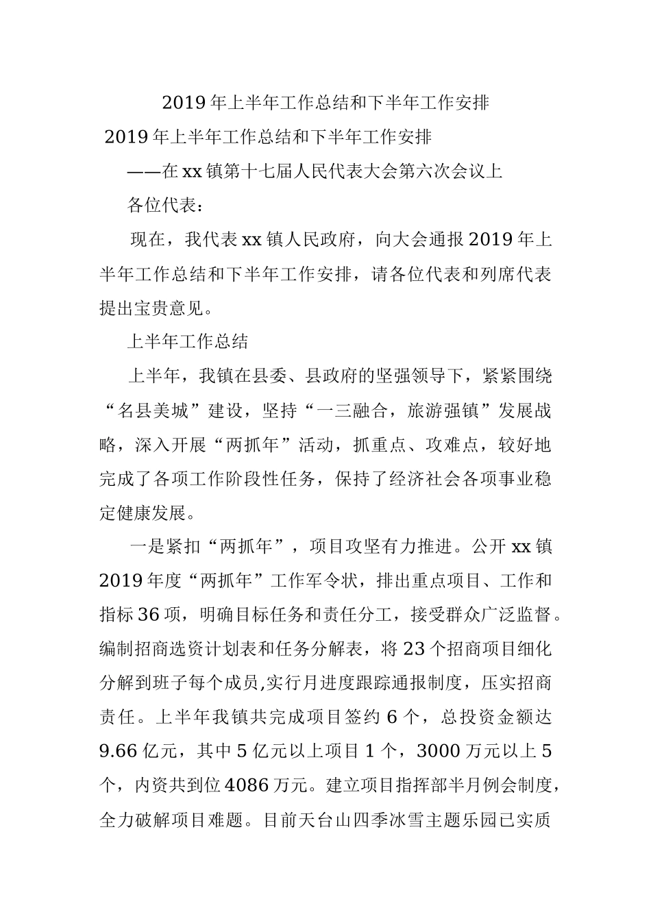 2019年上半年工作总结和下半年工作安排.docx_第1页