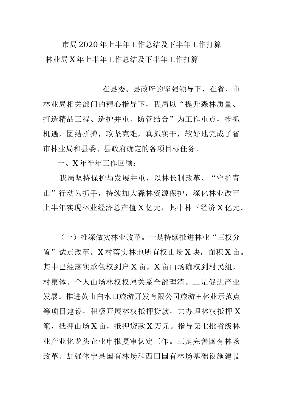 市局2020年上半年工作总结及下半年工作打算.docx_第1页