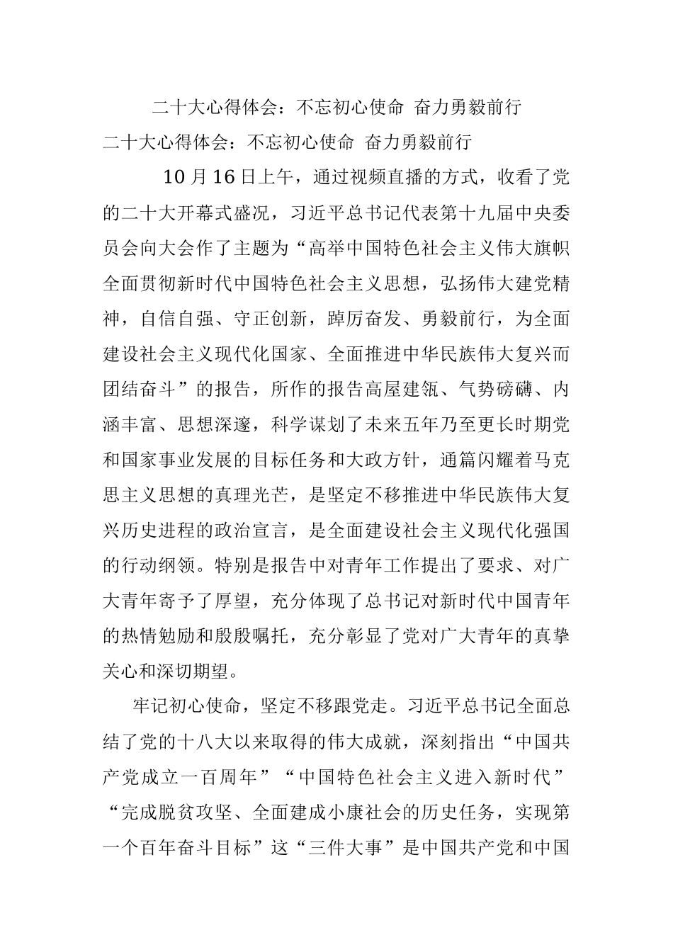二十大心得体会：不忘初心使命 奋力勇毅前行.docx_第1页