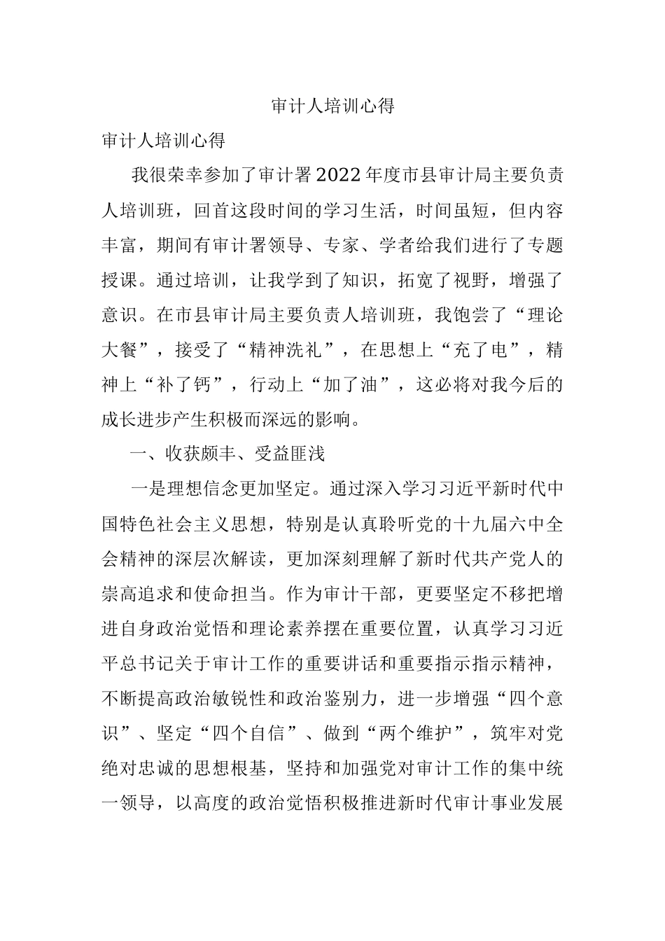 审计人培训心得.docx_第1页