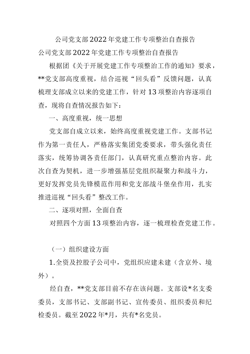 公司党支部2022年党建工作专项整治自查报告.docx_第1页