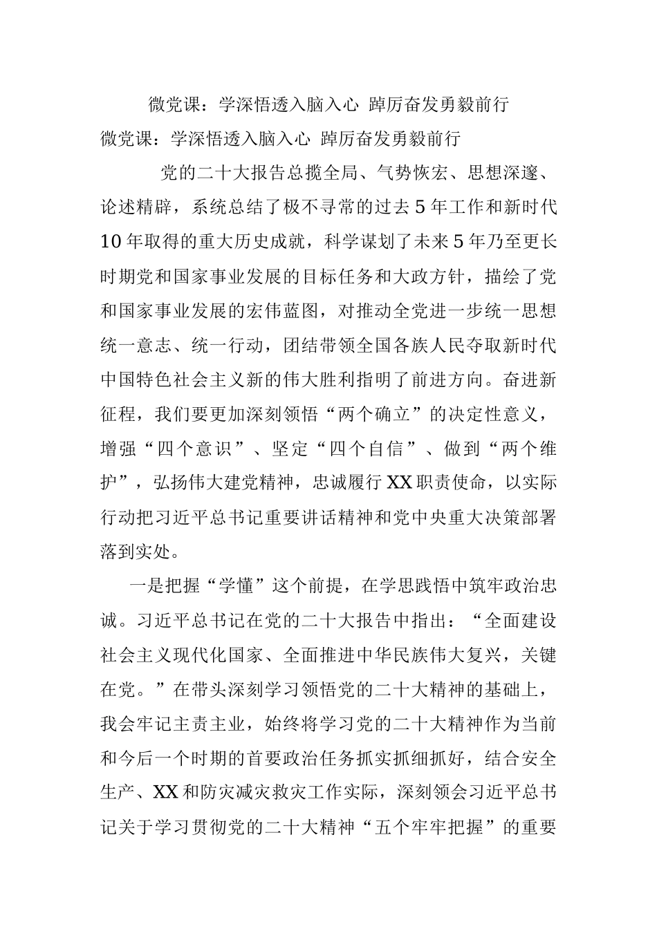 微党课：学深悟透入脑入心 踔厉奋发勇毅前行.docx_第1页