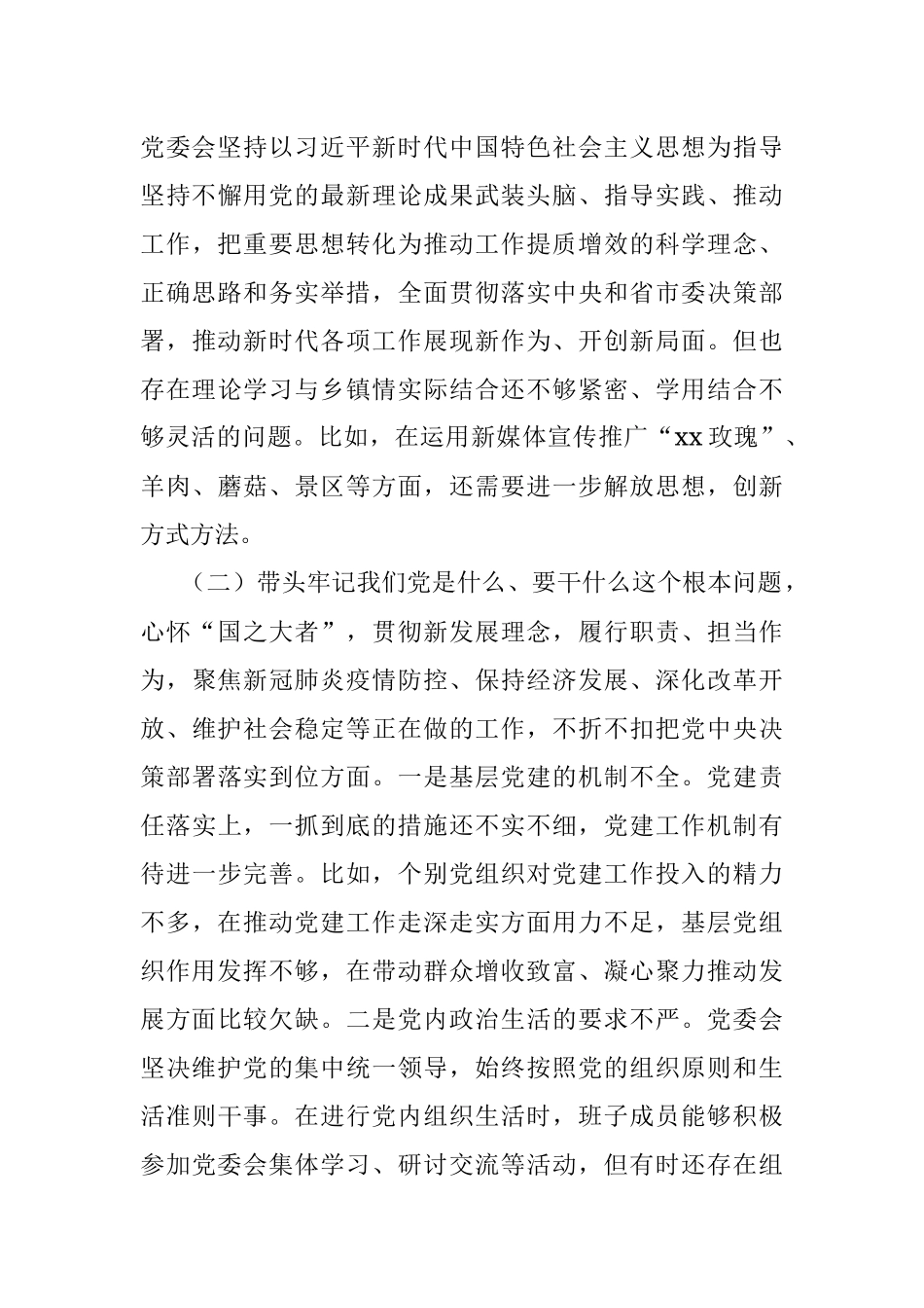 镇领导班子党史学习教育专题民主生活会五个带头对照检查材料.docx_第3页