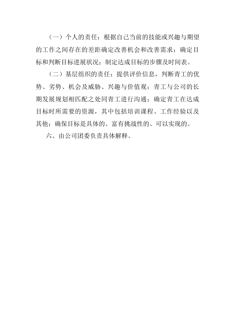 青工职业生涯规划实施办法.docx_第3页