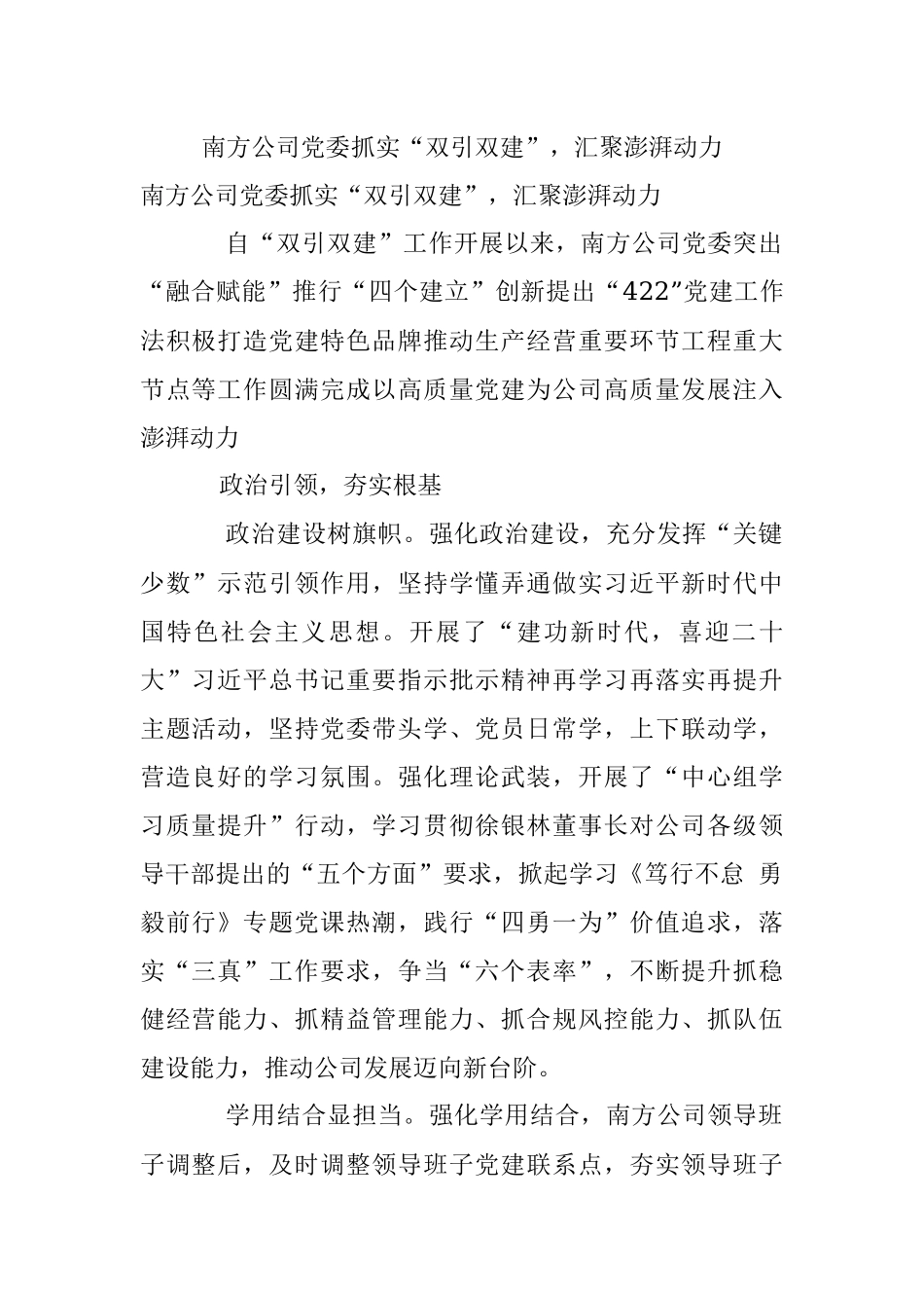 南方公司党委抓实“双引双建”汇聚澎湃动力.docx_第1页