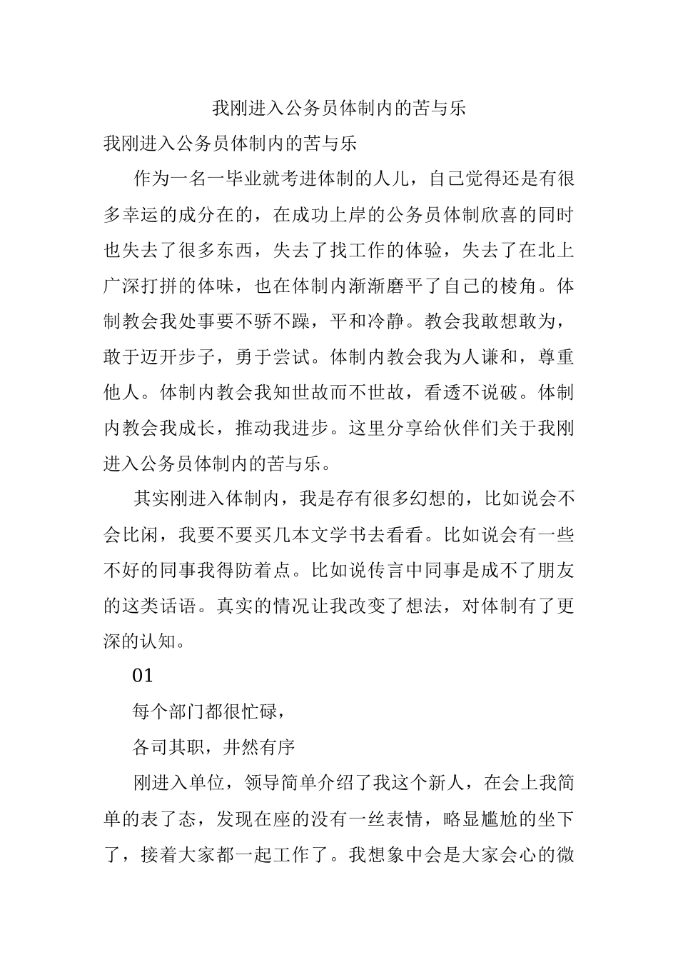 我刚进入公务员体制内的苦与乐.docx_第1页