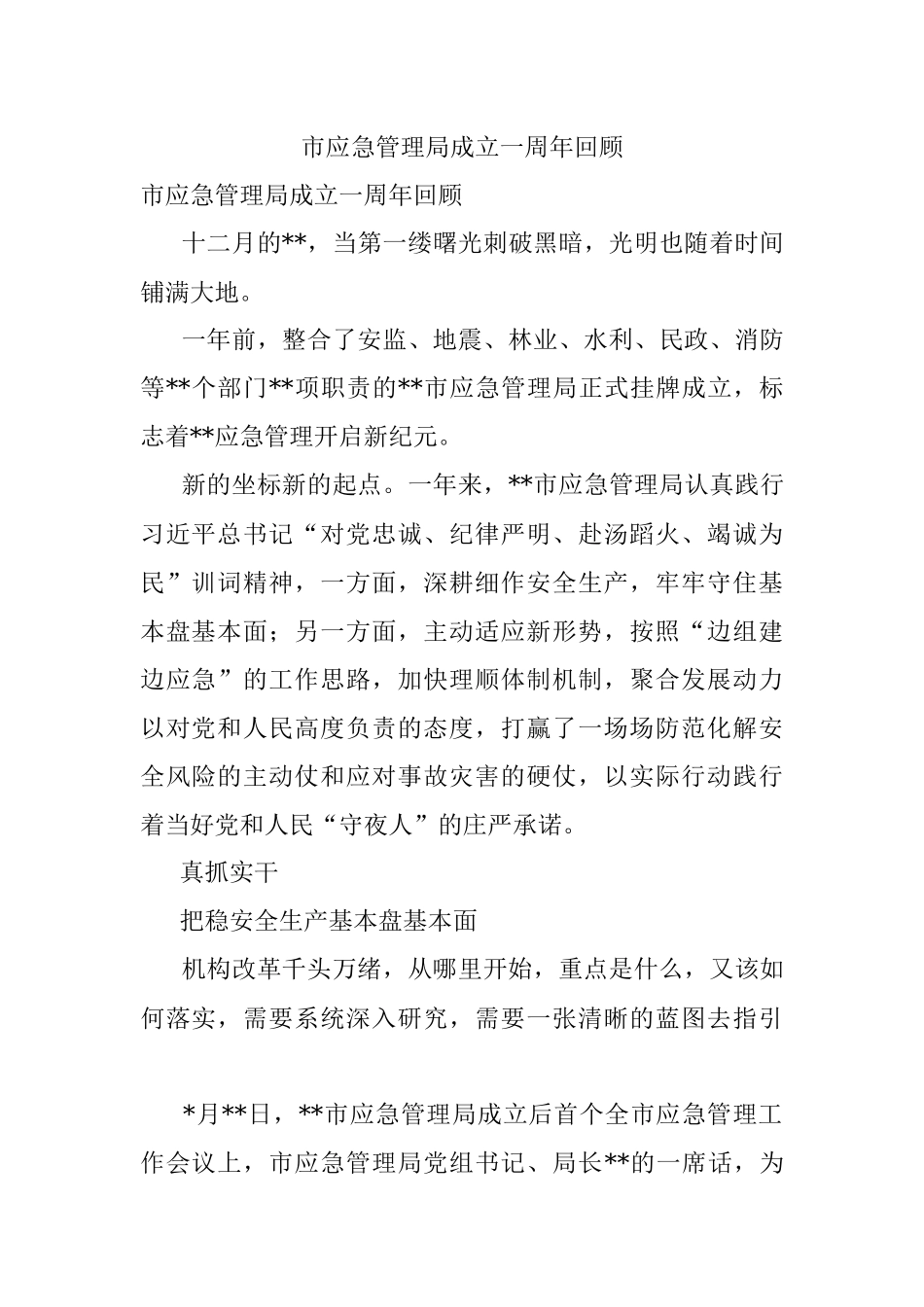 市应急管理局成立一周年回顾.docx_第1页