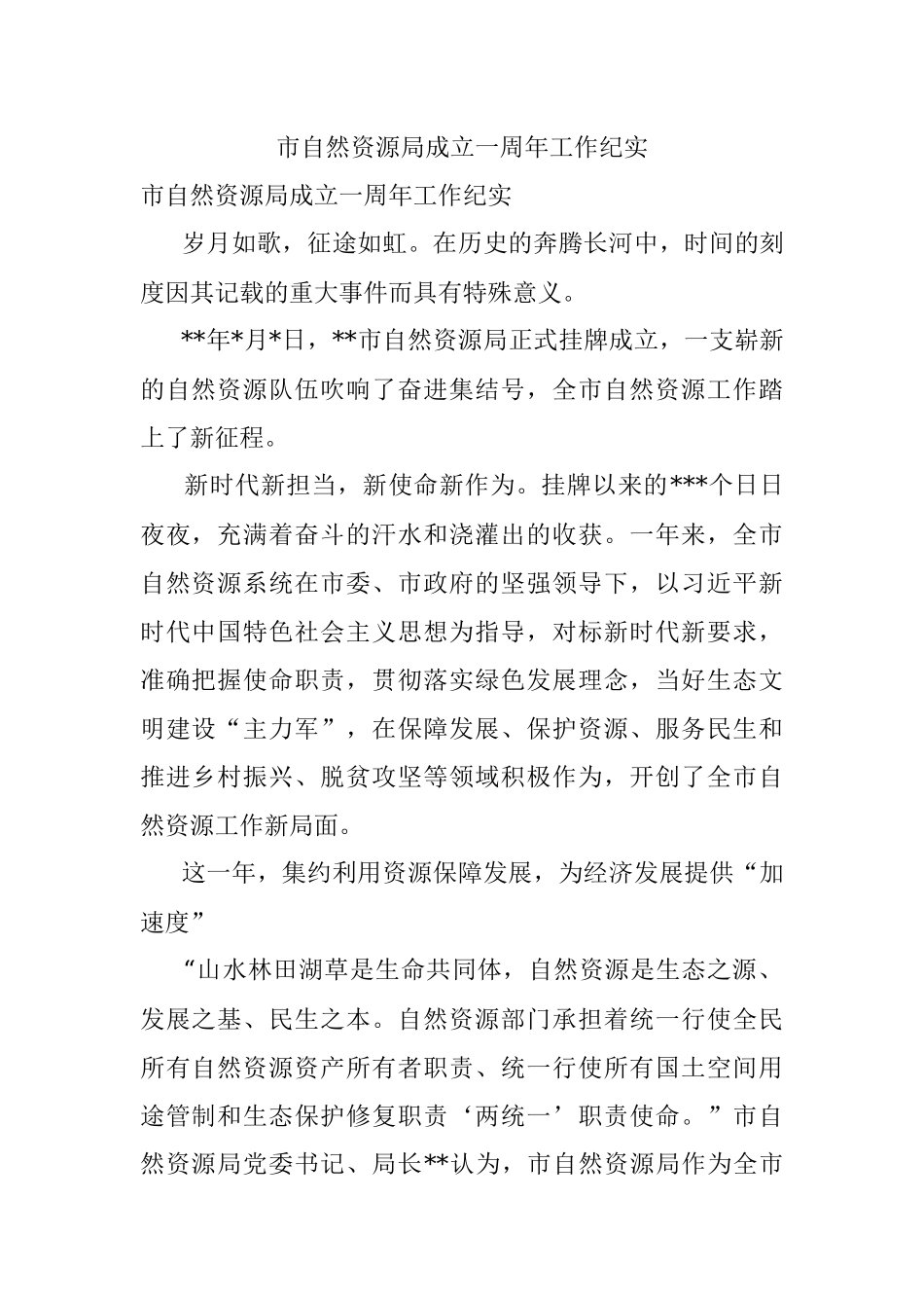 市自然资源局成立一周年工作纪实.docx_第1页