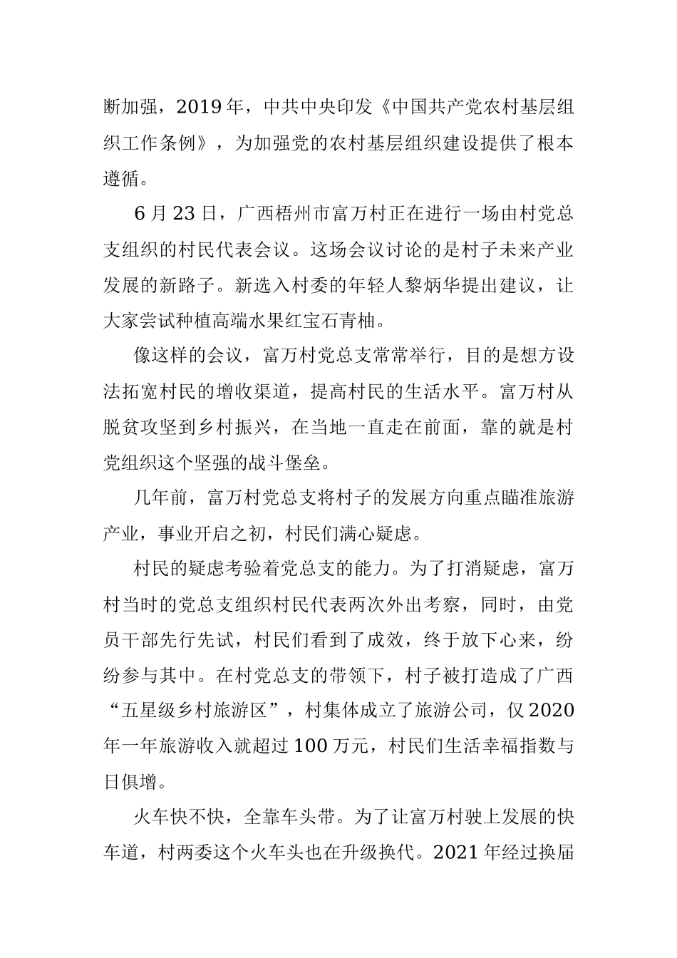 党旗在一线飘扬——当好乡村振兴“领头雁”.docx_第3页