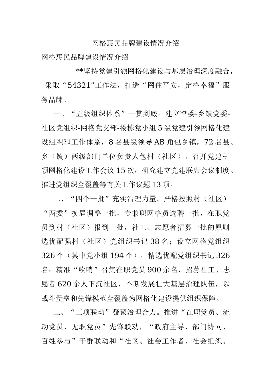 网格惠民品牌建设情况介绍.docx_第1页