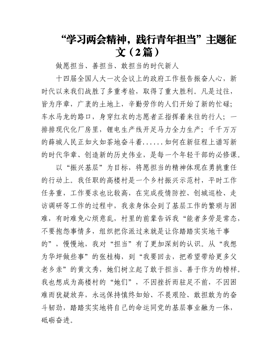 2023年(2篇)“学习两会精神践行青年担当”主题征文.docx_第1页
