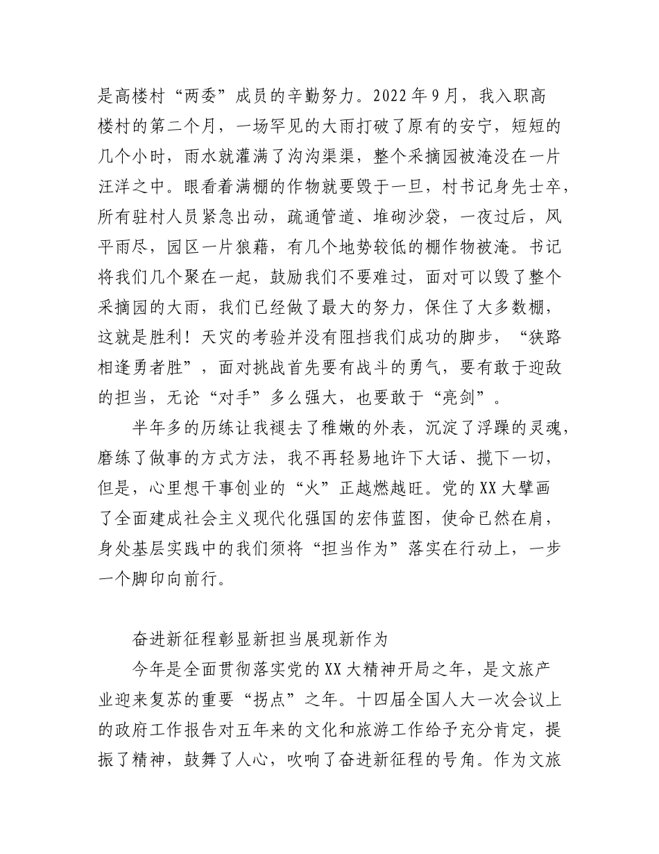 2023年(2篇)“学习两会精神践行青年担当”主题征文.docx_第3页