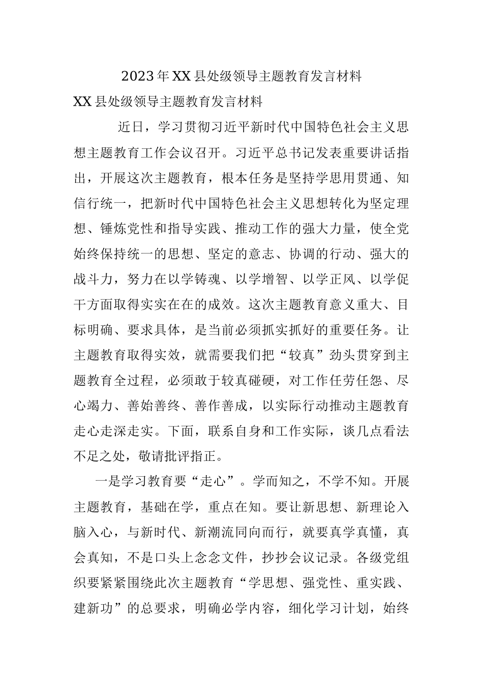 2023年XX县处级领导主题教育发言材料.docx_第1页