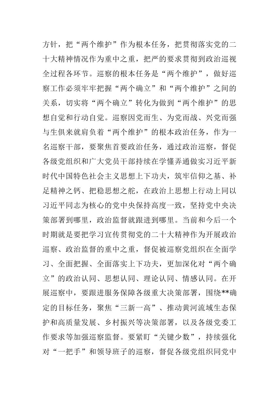 2023年巡察干部在纪检监察干部队伍教育整顿研讨交流会上的发言_1.docx_第2页