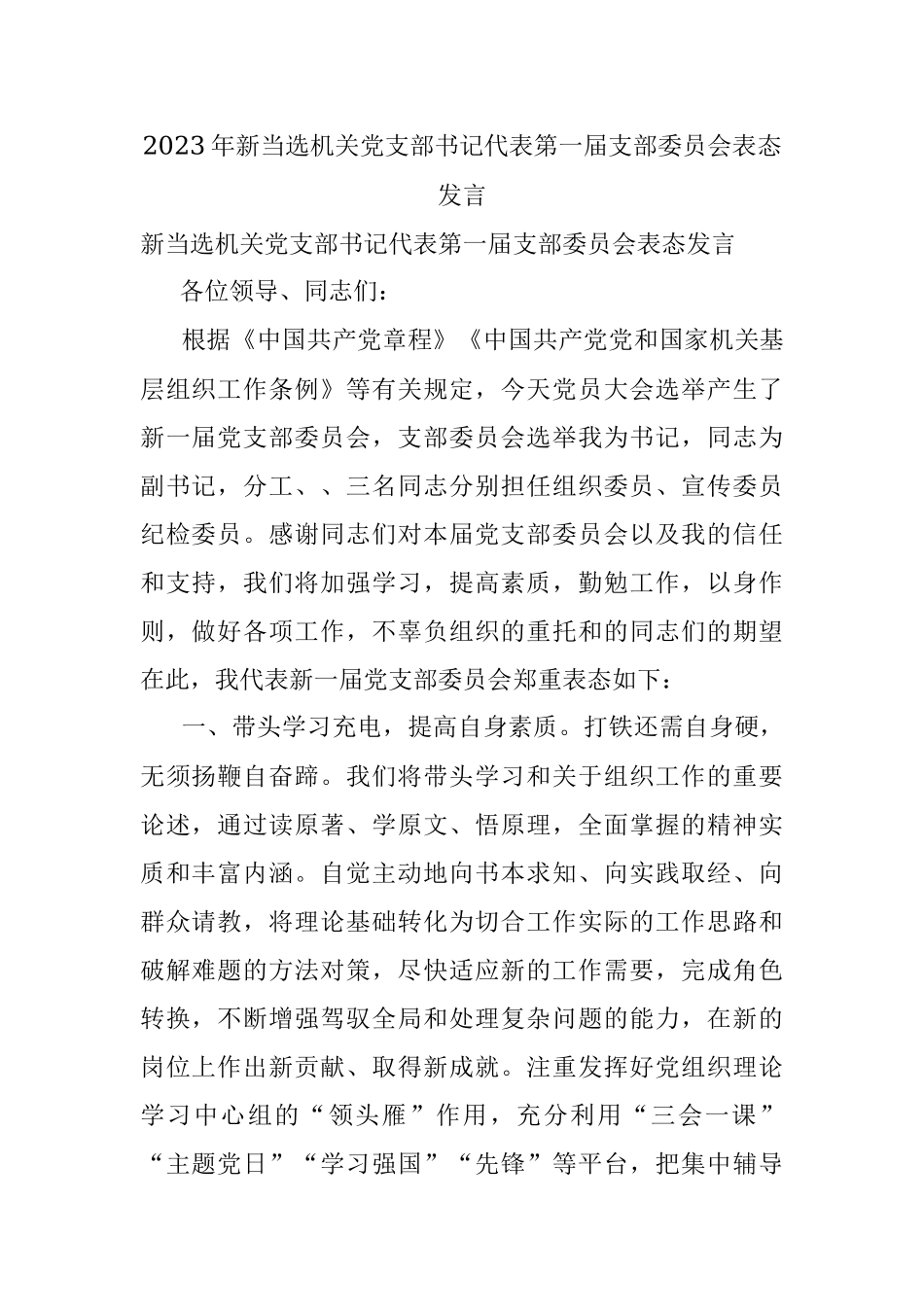 2023年新当选机关党支部书记代表第一届支部委员会表态发言.docx_第1页