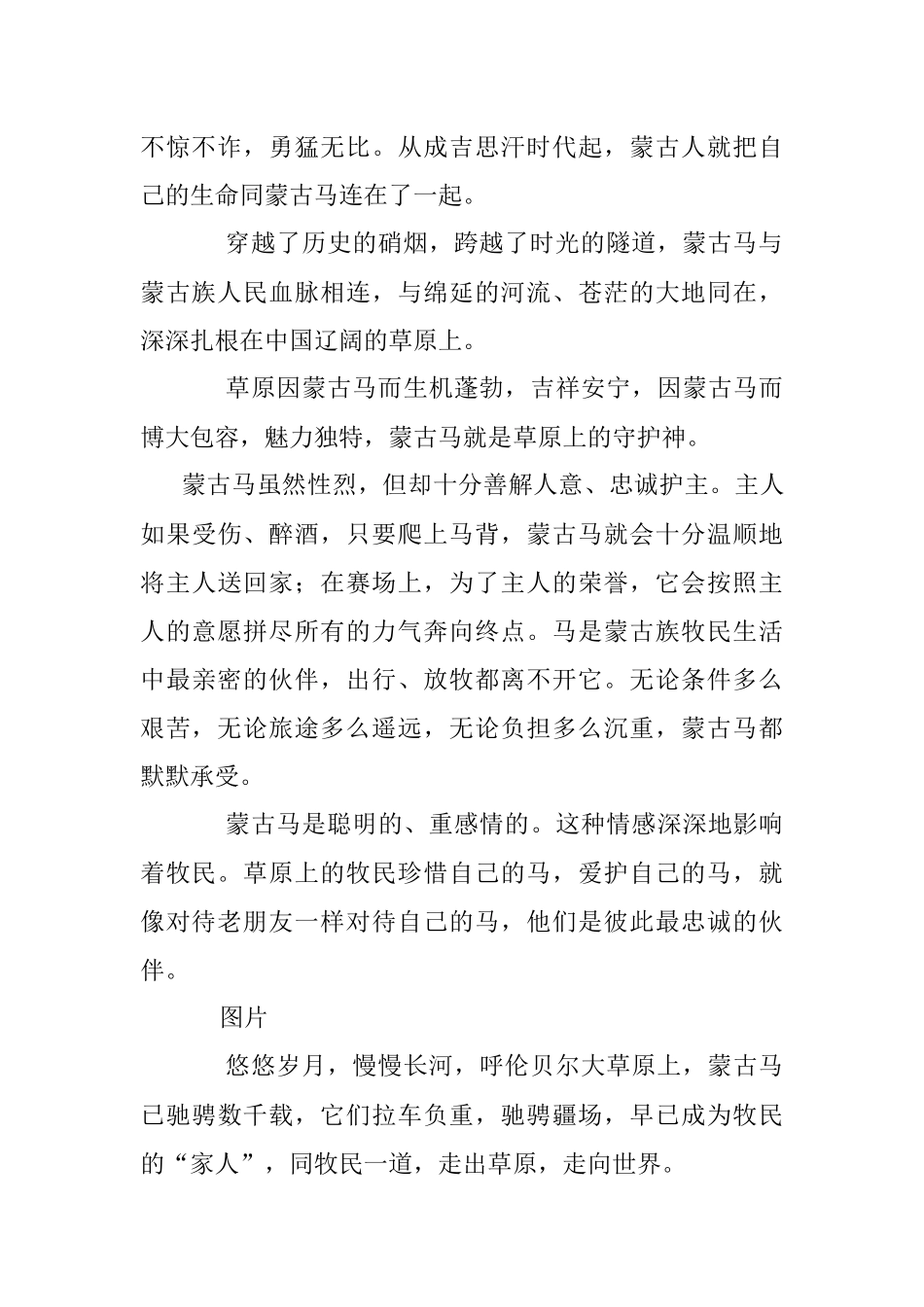 2023年蒙古马——草原上的守护神.docx_第2页