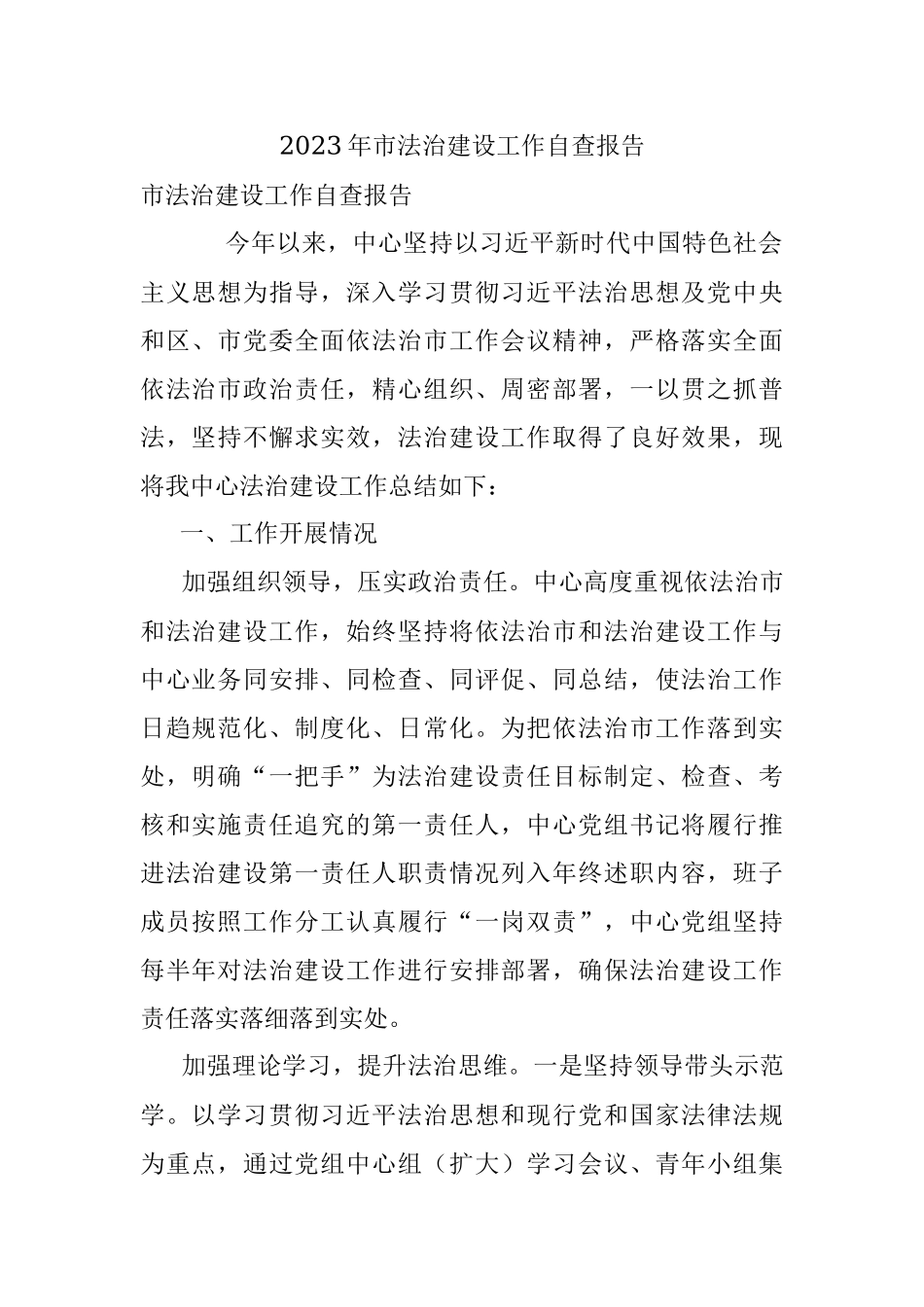 2023年市法治建设工作自查报告.docx_第1页