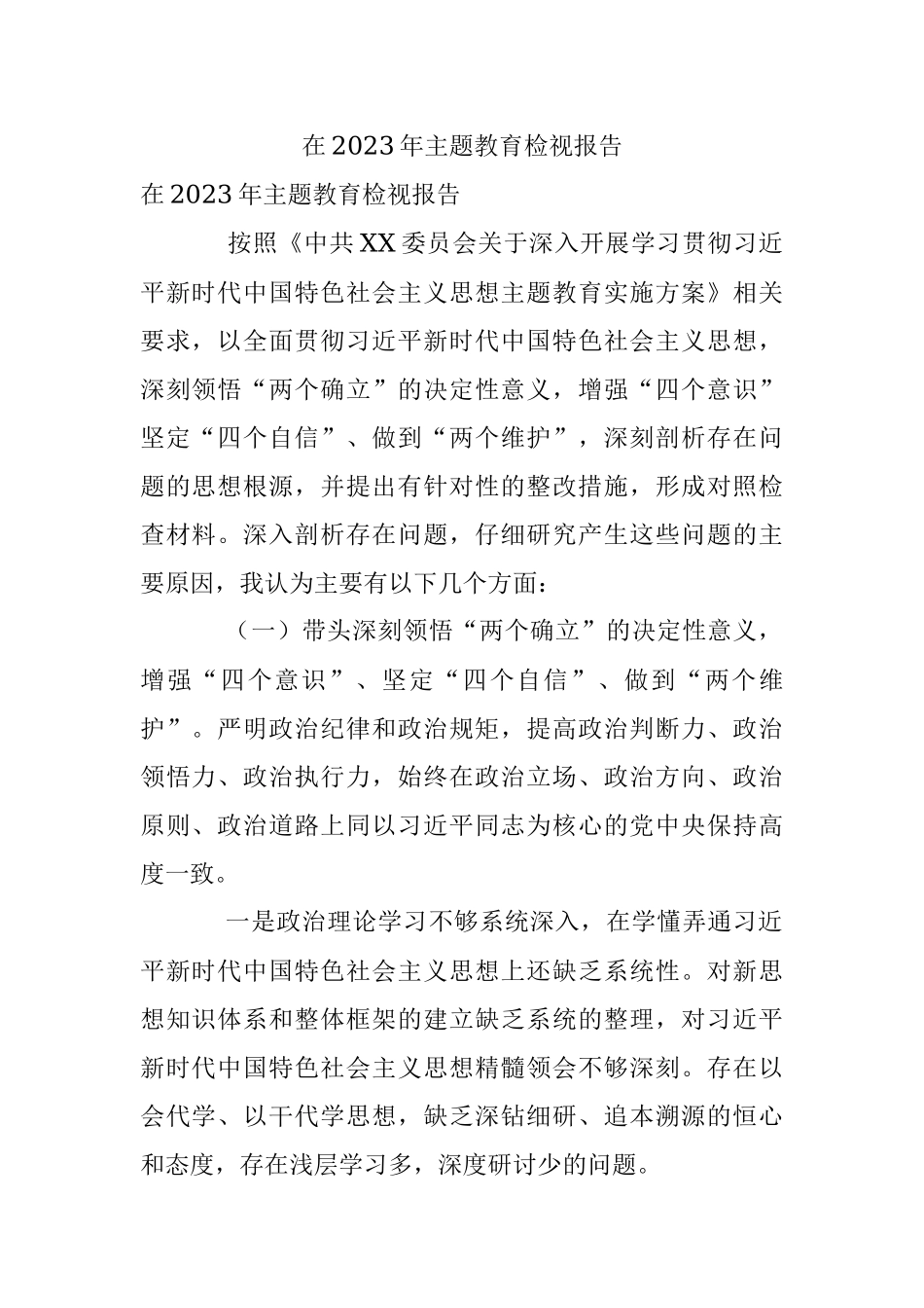 在2023年主题教育检视报告.docx_第1页