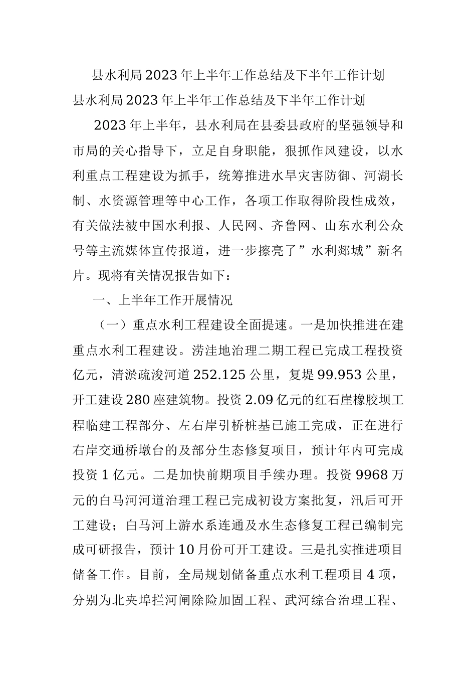 县水利局2023年上半年工作总结及下半年工作计划.docx_第1页