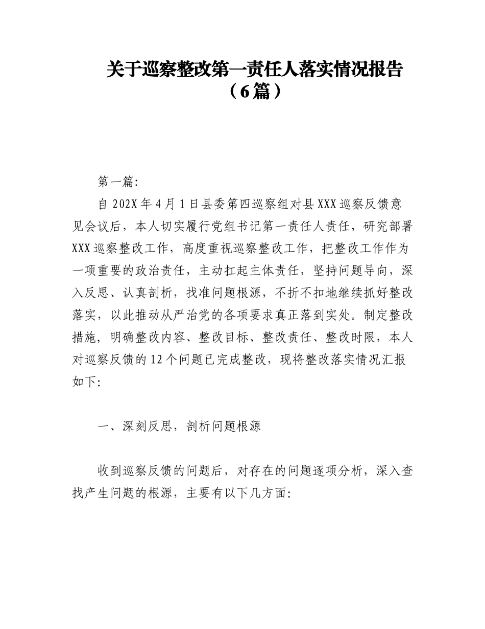 2023年（6篇）关于巡察整改第一责任人落实情况报告.docx_第1页