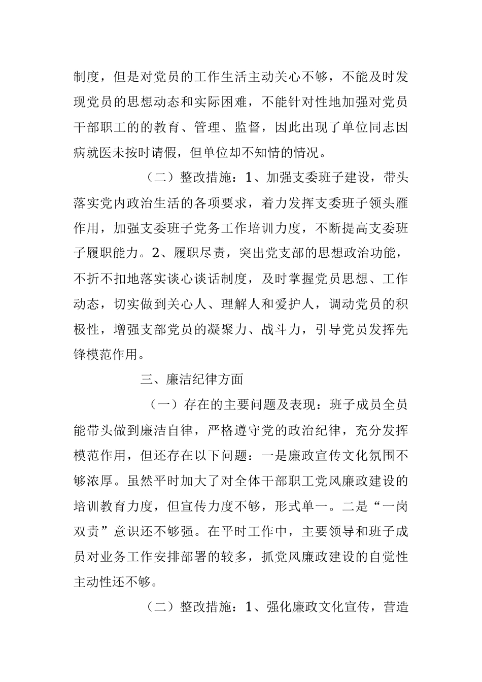 2023年党支部班子“六个纪律”自查自纠情况报告.docx_第3页