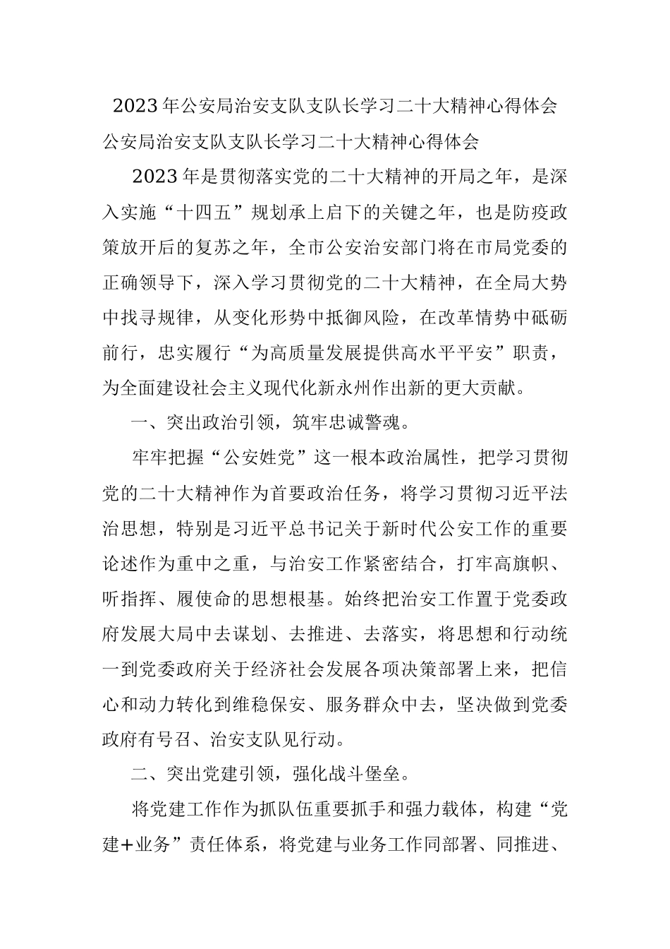 2023年公安局治安支队支队长学习二十大精神心得体会.docx_第1页