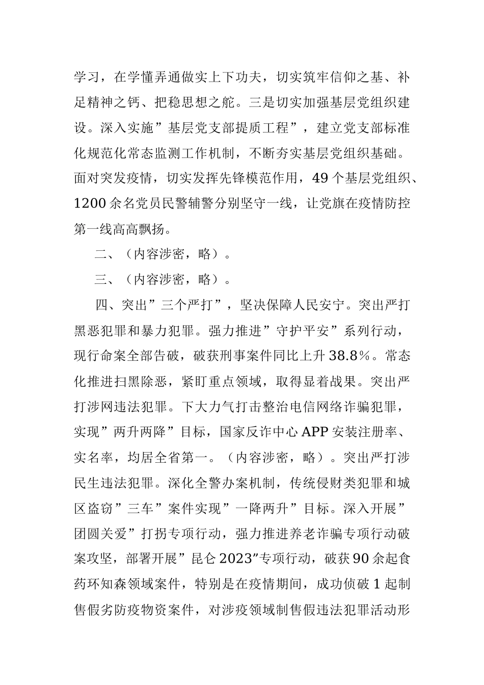 xx市公安局2023年上半年工作总结.docx_第2页