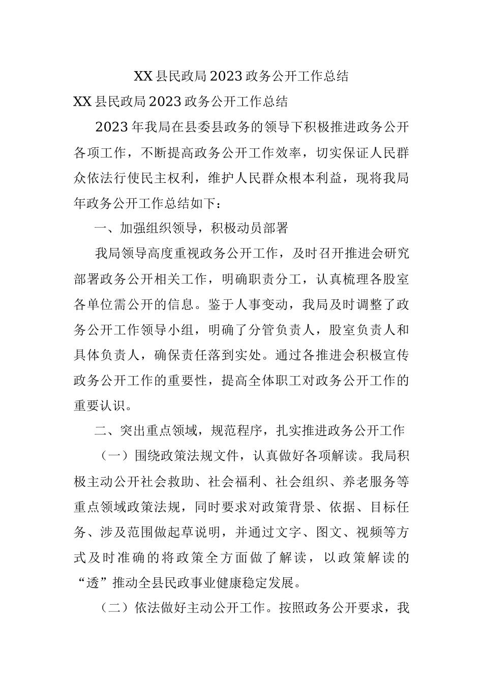 XX县民政局2023政务公开工作总结.docx_第1页