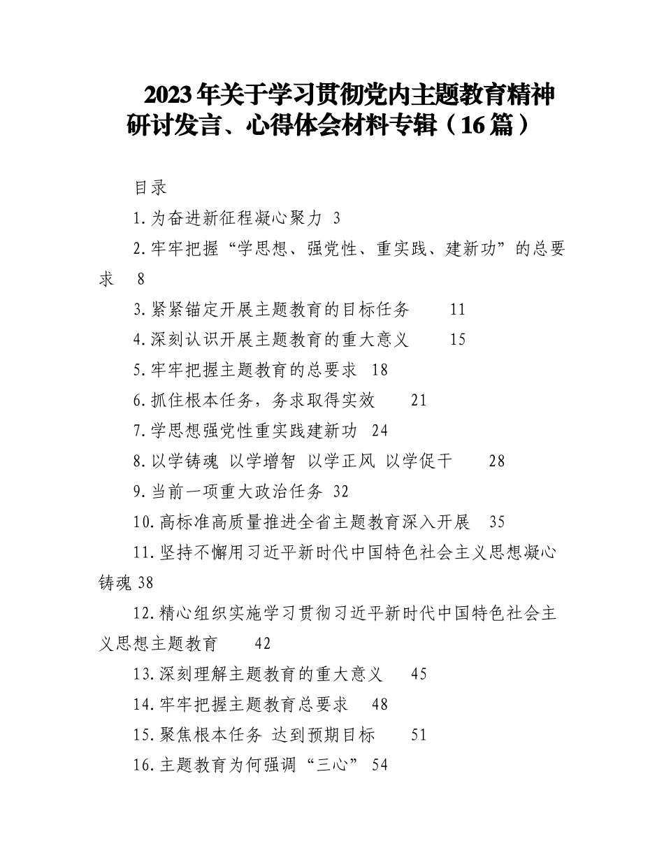 2023年（16篇）关于学习贯彻党内主题教育精神研讨发言、心得体会材料专辑.docx_第1页