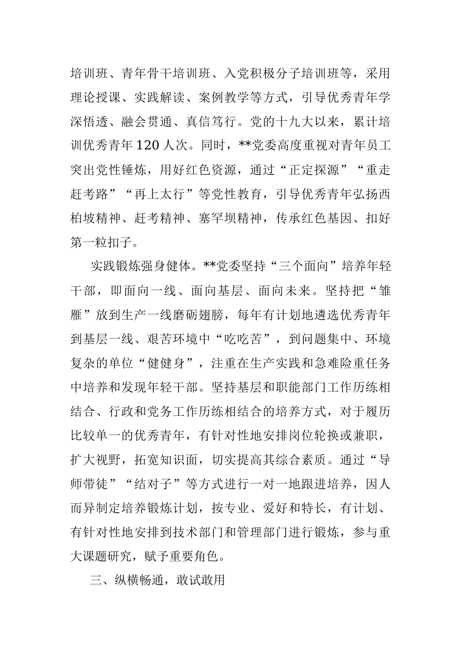 2023年国企党建经验交流：选育用管全链条发力 为年轻干部打造成长矩阵.docx_第3页