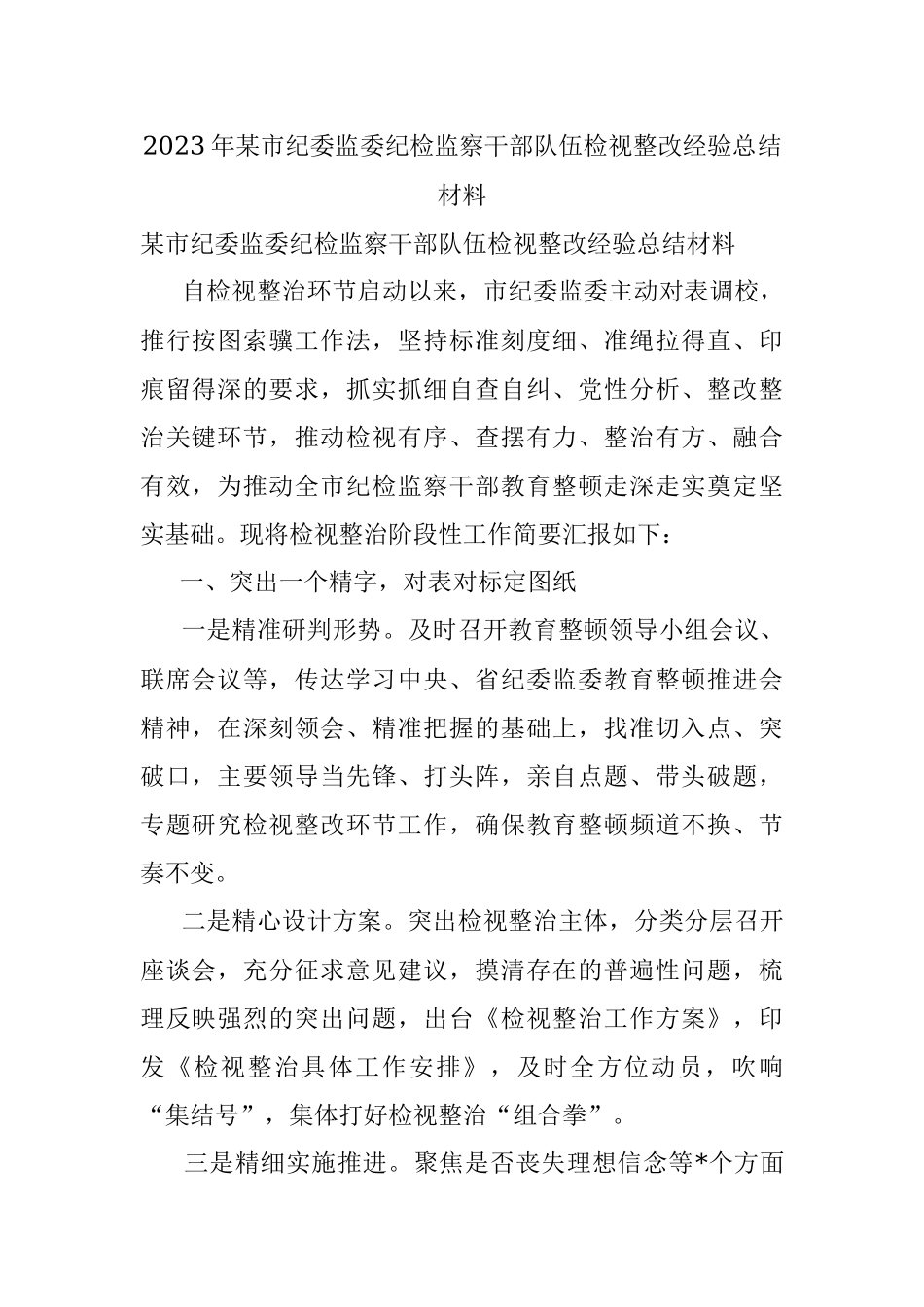 2023年某市纪委监委纪检监察干部队伍检视整改经验总结材料.docx_第1页