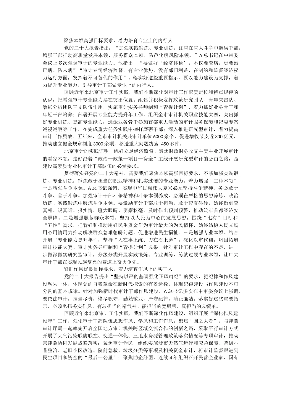 2023年建设堪当重任的审计干部队伍.docx_第2页